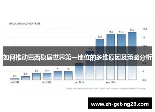 如何推动巴西稳居世界第一地位的多维原因及策略分析