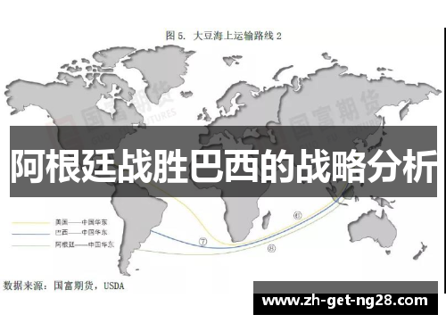 阿根廷战胜巴西的战略分析